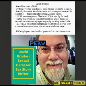 David Brodosi of USF: Sexual Harasser, Sex Story Writer