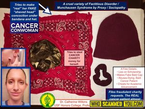 Catherine Wilkins (Judy Genshaft College @USF)... Stealing money from charities with your untrue “cancer caretaker” scheme...
