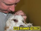 Scam - ANIMAL ABUSE